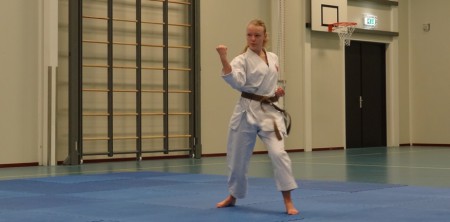 Karate Assendelft Krommenie Budo Ryu Koersen